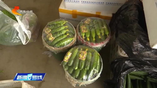 涿州農(nóng)產(chǎn)品市場(chǎng)貨源穩(wěn)定供應(yīng)充足