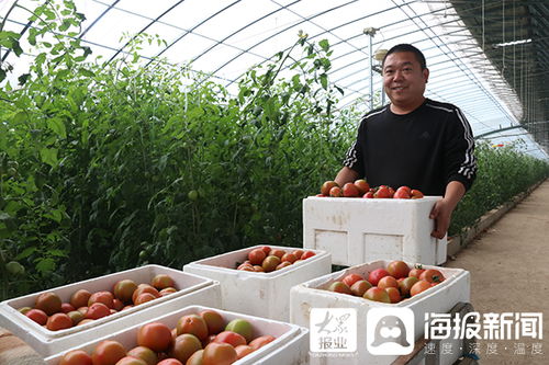 用地標(biāo)性農(nóng)產(chǎn)品打造莘縣高端精致農(nóng)業(yè)名片