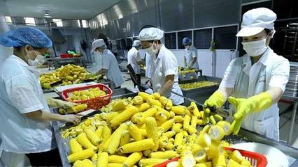 越南充分開發向澳大利亞出口農產品的潛力