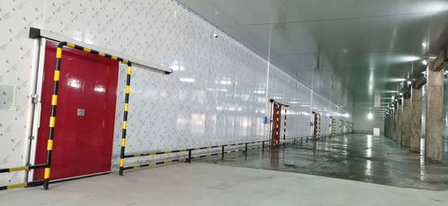 專業保鮮，智造未來——佛山食品保鮮冷庫工程廠家，為食品廠與農產品提供全方位儲存方案