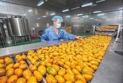 育好物、出爆款、強(qiáng)品牌 打造現(xiàn)代農(nóng)業(yè)價(jià)值鏈的三部曲