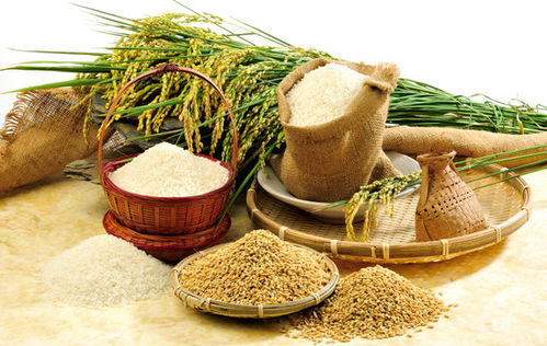 一季度國(guó)家農(nóng)產(chǎn)品質(zhì)量安全例行監(jiān)測(cè)報(bào)告顯示我國(guó)農(nóng)產(chǎn)品總體合格率保持高位