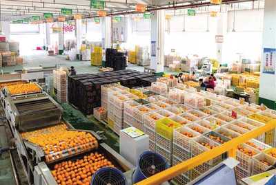 招商引資 驅(qū)動(dòng)重慶從“味覺高地”邁向“產(chǎn)業(yè)高地”的農(nóng)業(yè)引擎