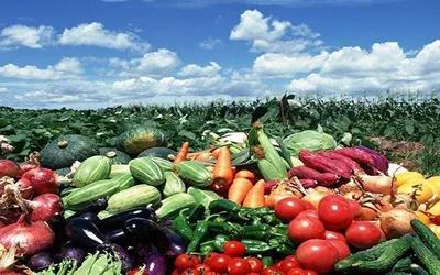 推進(jìn)農(nóng)產(chǎn)品高質(zhì)量發(fā)展 路徑與策略